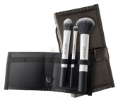 September 3 Brushes With Case
