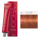IIgora Royal Permanent Dye 7-77 IIgora Royal Permanent Dye 7-77