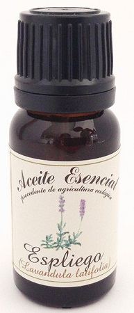 Lavender essential oil Lavandula latifolia 12 ml