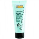 Iceland Moss Absorbent Facial Mask 75ml