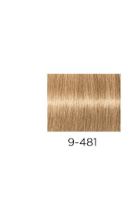 Igora Royal Take Over Nudes 9-481 Igora Royal Take Over Nudes 9-481