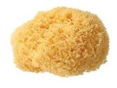 Natural Marine Sponge Natural Marine Sponge