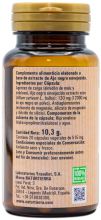 Black Garlic 20 Vegetable capsules Black Garlic 20 Vegetable capsules