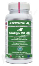 Ginkgo Vitamin 6000 90 Capsules Ginkgo Vitamin 6000 90 Capsules