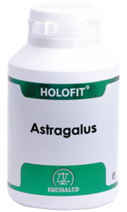 Holofit Astragalus Cápsulas Holofit Astragalus Cápsulas