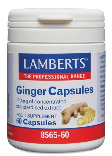 Ginger 120 mg High Concentration 60 Capsules Ginger 120 mg High Concentration 60 Capsules