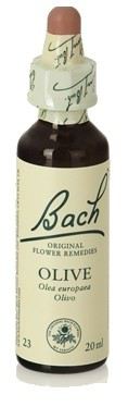 Bach 23 Olive 20 ml Bach 23 Olive 20 ml