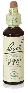 Bach 6 Cherry Plum 20 ml Bach 6 Cherry Plum 20 ml