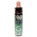 Plantis Nº 6 Self-esteem 10 ml Plantis Nº 6 Self-esteem 10 ml
