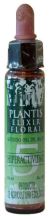 Plantis Nº 5 Hyperactivity 10 ml Plantis Nº 5 Hyperactivity 10 ml
