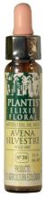 Wild Oat Plantis Nº 36 10 ml Wild Oat Plantis Nº 36 10 ml