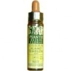 Star Of Bethlehem Plantis Nº 29 10 ml Star Of Bethlehem Plantis Nº 29 10 ml