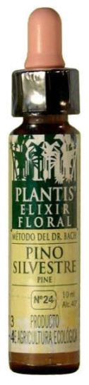 Pine Plantis Nº 24 10 ml Pine Plantis Nº 24 10 ml